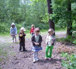 Ojej, ile szyszek.jpg