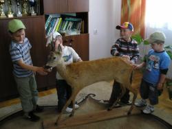 Co ma koziołek z tyłu.jpg