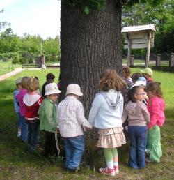 Mierzenie obwodu.jpg