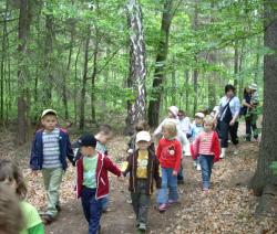 Wędrówka pośród drzew.jpg