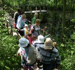 Mostki i kładki.jpg