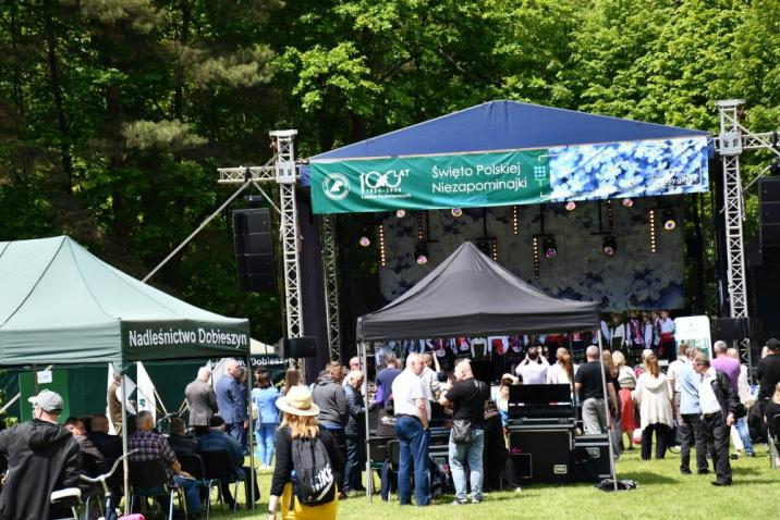 Święto Polskiej Niezapominajki w Jedlni-Letnisko przyciągnęło tłumy ludzi, fot. P. Kosin