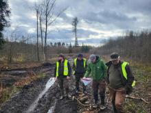 Audyt wznawiający certyfikat PEFC